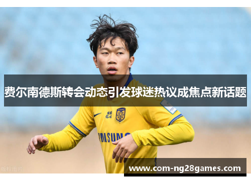 费尔南德斯转会动态引发球迷热议成焦点新话题 费尔南德斯转会动态引发球迷热议成焦点新话题