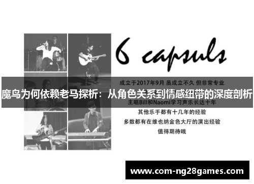 魔鸟为何依赖老马探析：从角色关系到情感纽带的深度剖析