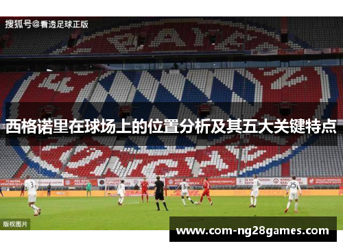 西格诺里在球场上的位置分析及其五大关键特点