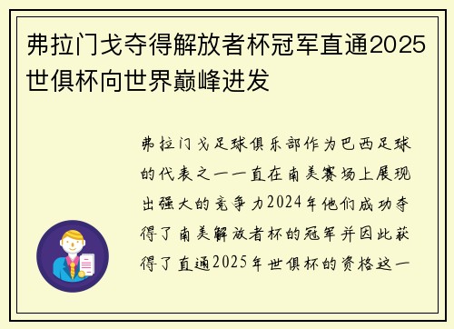 弗拉门戈夺得解放者杯冠军直通2025世俱杯向世界巅峰进发 弗拉门戈夺得解放者杯冠军直通2025世俱杯向世界巅峰进发